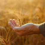 The Perfect Prayer: Letting the Spirit Intercede for Us