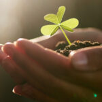The Difference Between Wealth and True Prosperity
