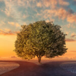 Genuine Transformation: How Grace Does the Heavy Lifting