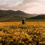 A Life of Grace-Based Freedom