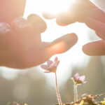 Taking Responsibility for Our Spiritual Growth